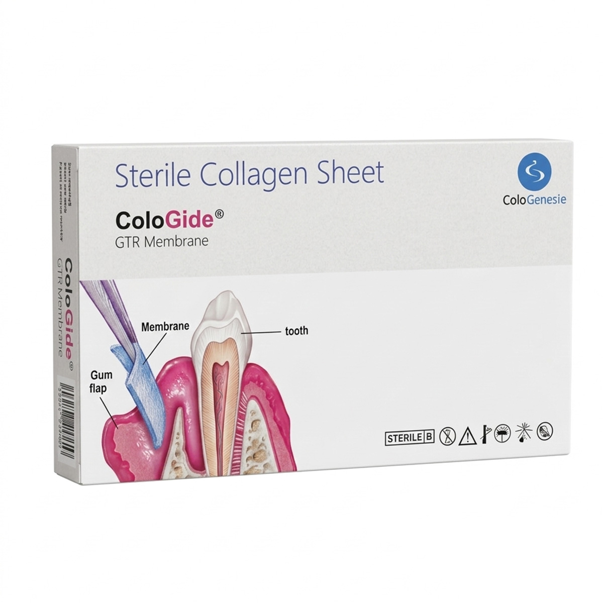 ColoGide GTR Membrane for Guided Tissue Regeneration by ColoGide — buy wholesale in Hyderabad
