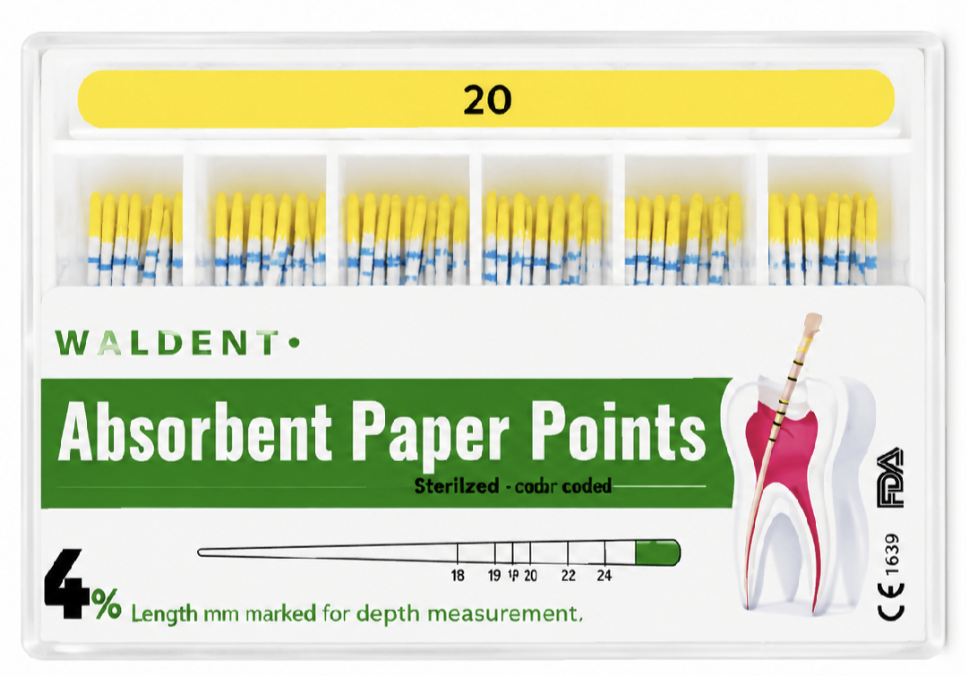 Waldent Paper Points 4% (Length Marked) by Waldent โ buy wholesale in Hyderabad
