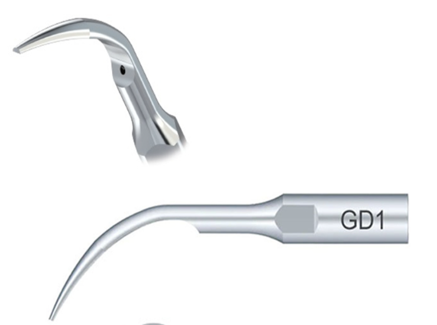 Woodpecker Scaler Tip GD1 for DTE & Satelec Scalers by Woodpecker — buy wholesale in Hyderabad