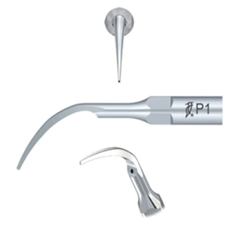 Woodpecker Scaler Tip P1 for UDS & EMS Scaler by Woodpecker — buy wholesale in Hyderabad