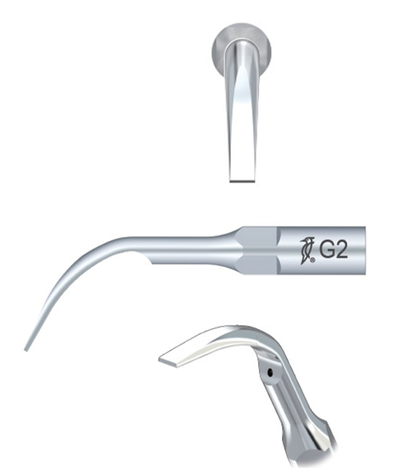 Woodpecker Scaler Tip GD2 for DTE & Satelec Scalers by Woodpecker — buy wholesale in Hyderabad