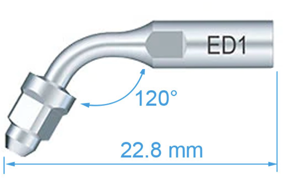 Woodpecker Scaler Tip ED1 for DTE & Satelec Scaler by Woodpecker — buy wholesale in Hyderabad